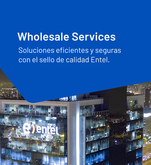 Entel - Wholesale Services
